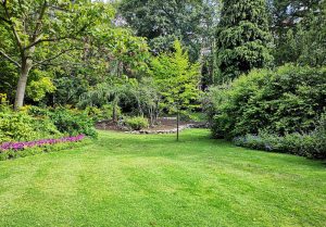 Optimiser l'expérience du jardin à Neuilly-sur-Marne